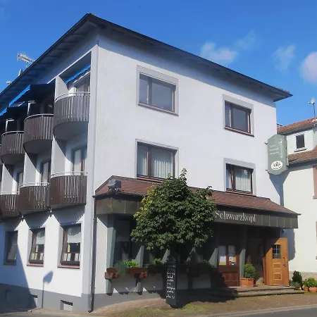 Hotel-restaurant Schwarzkopf 3* Frammersbach