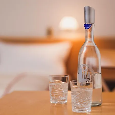 Hotel-restaurant Schwarzkopf ホテル