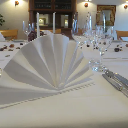 Hotel-restaurant Schwarzkopf 3* Frammersbach