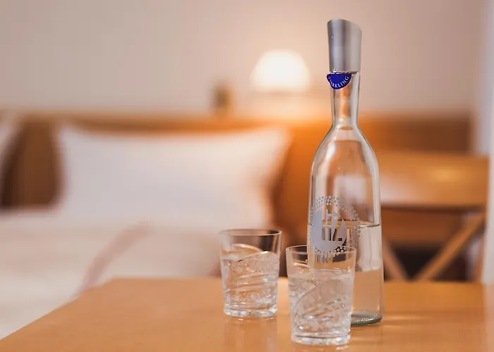 Hotel-restaurant Schwarzkopf מלון